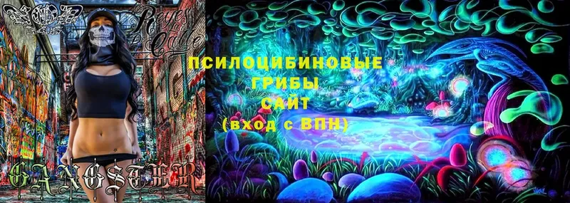 Псилоцибиновые грибы MAGIC MUSHROOMS  магазин  наркотиков  blacksprut маркетплейс  Приозерск 